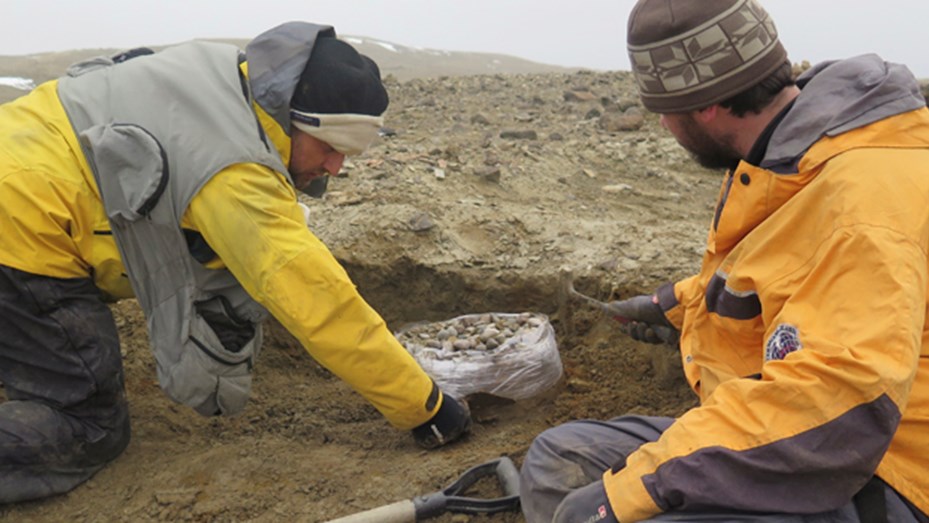 Hallaron restos de un reptil gigante en la Antártida similar al "Monstruo del Lago Ness" Antartidaness