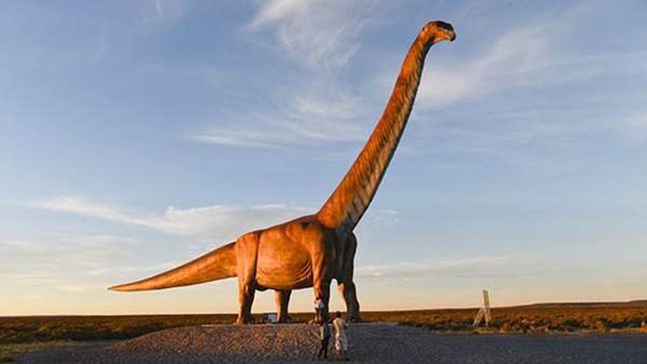 Hallan restos fósiles de un Titanosaurio en Neuquén: cada vértebra pesaba 200 kilos - Telefe Neuquén