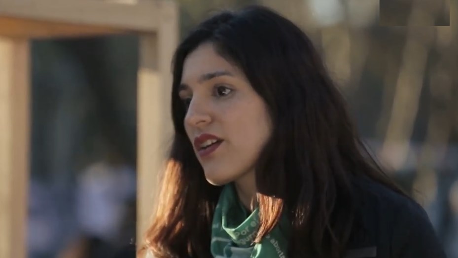 Designaron a la docente y activista feminista Marina Cardelli al ...