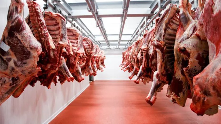 foto-carne