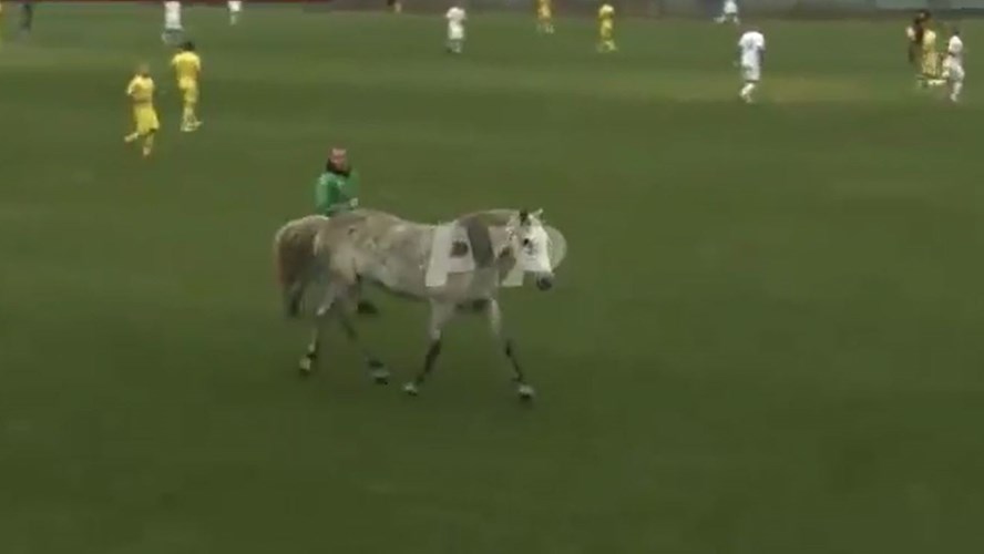 Insólito: un caballo y dos perros interrumpen un partido de fútbol - Telefe Noticias