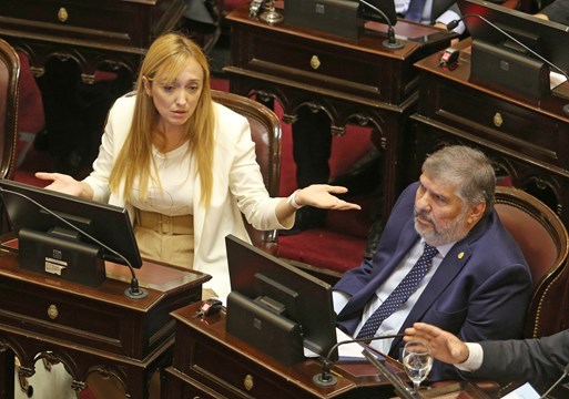 Senado: hoy se sancionaría la Ley Lucio y la de Alcohol Cero junto a otros proyectos 2 senado 3