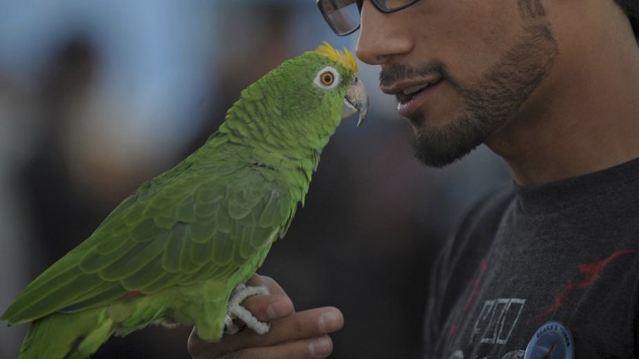 loro