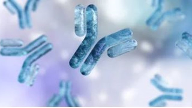 La Primera Iniciativa Del Mundo Para Producir Anticuerpos Monoclonales La Primera Iniciativa Del Mundo Para Producir Anticuerpos Monoclonales